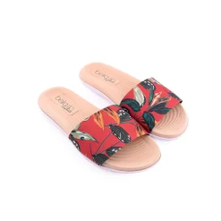 Chinelos / Socas*BEIRA RIO Chinelo