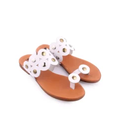 Chinelos / Socas*WALKWELL Chinelo